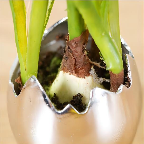 8" Grape Hyacinth Plant in Pot