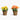 Mini Calla Lily Potted Set of 2