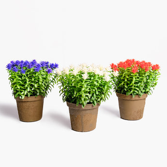Faux Small Flower Potted Set of 3