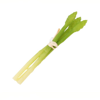 Faux Asparagus Bundle of 3