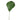 Tropics Fan Palm Leaf
