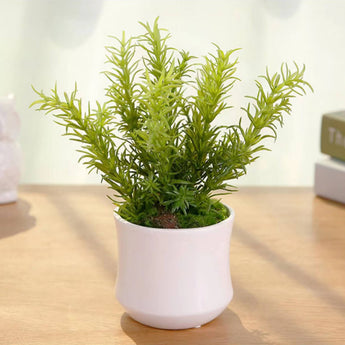 Artificial Rosemary Plant in Pot