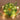 24' Floral Rope Vine Plants