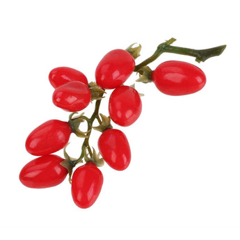 Small Branch Red Cherry Tomato