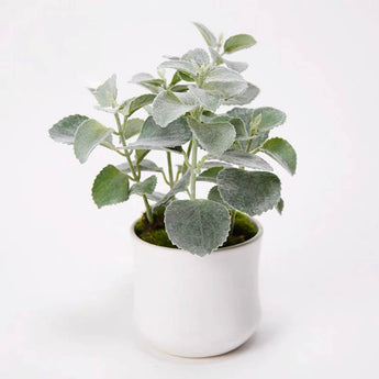 Faux Indian Mint Plant in Pot