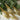 Gold Ribbed Christmas Ornaments