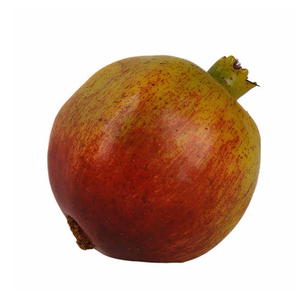 Himalayan Red Green Pomegranate