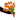 Faux Dutch Tulip Bundle of 12