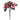Wild Camellia Set of 6