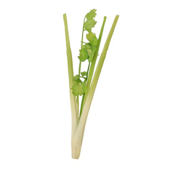 Artificial Green Celery