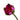 Fake Color Lotus Flower
