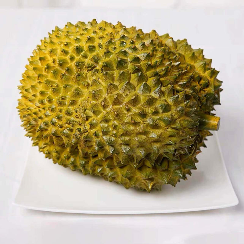 Large Faux Durian Fruit