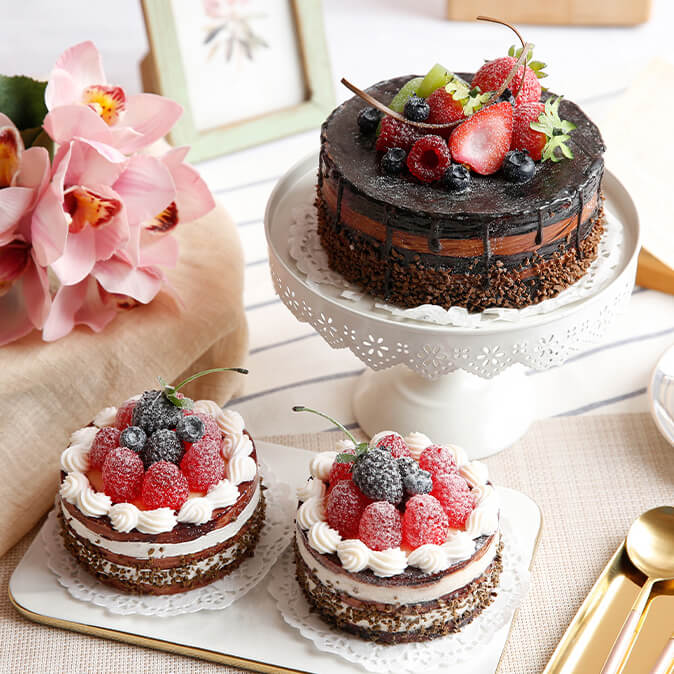 6" Chocolate Berry Ice Cream Cake