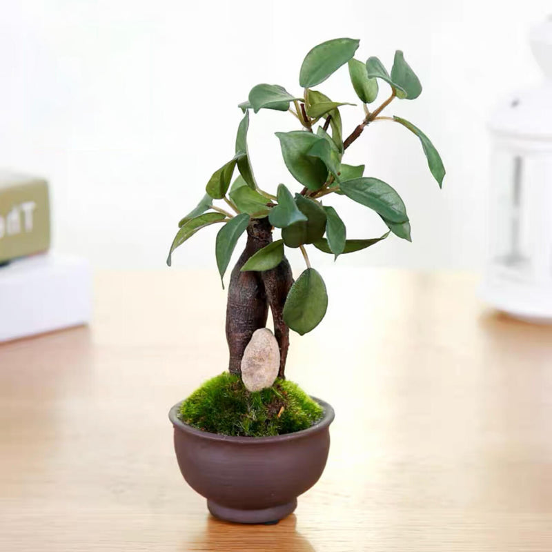 Realistic Artificial Bonsai Tree