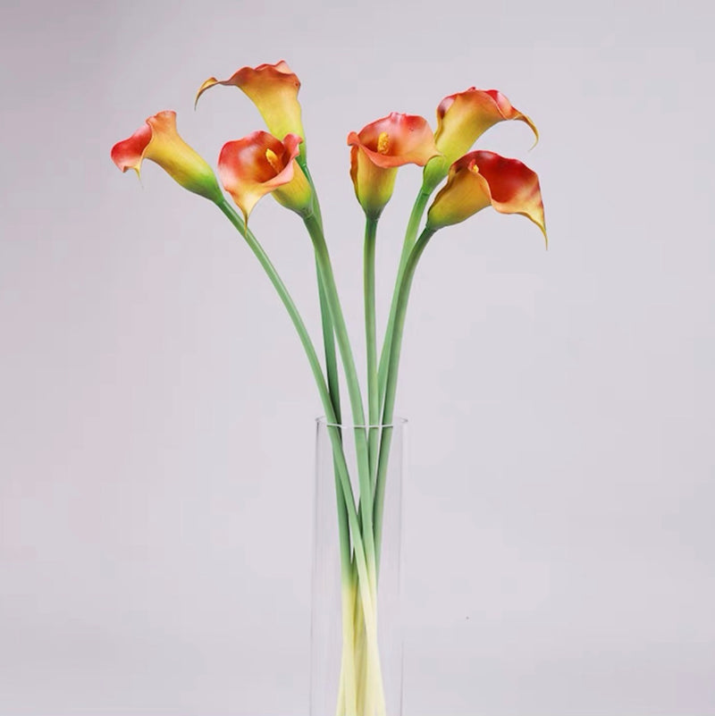 30" Large Calla Lily Set of 6