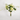 "Whispers of Spring" Bouquets