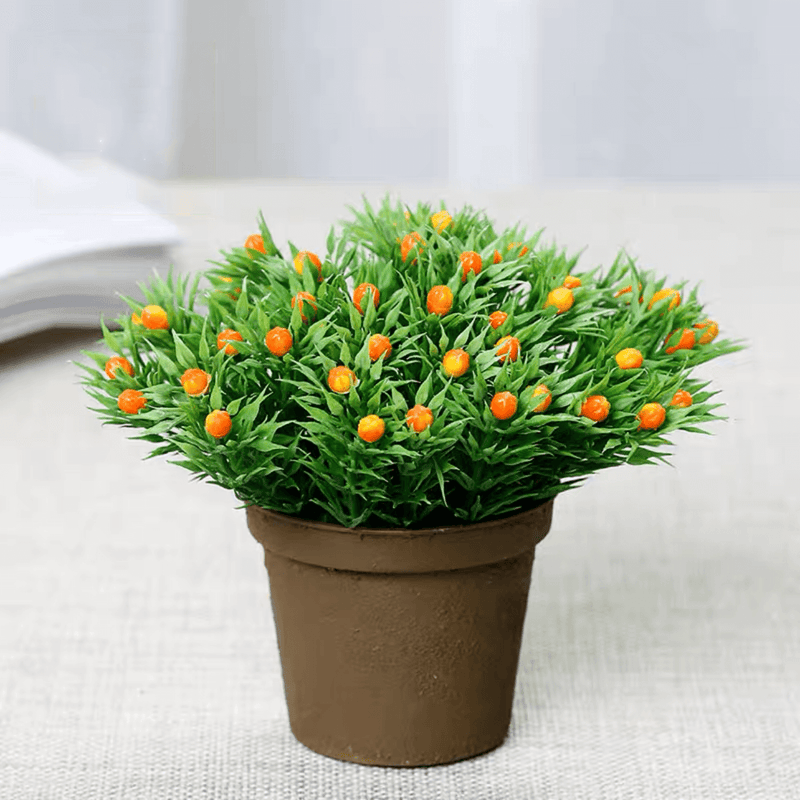 Mixed Greenery Plant Potted (Set of 3)