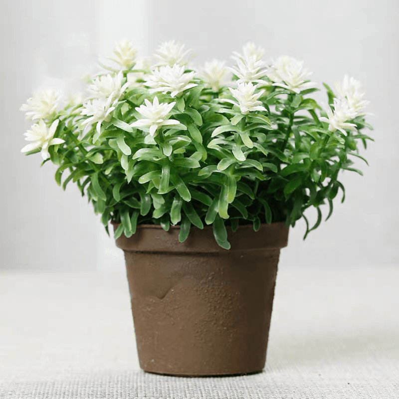 4.7" Mini Shrubs Flower Potted