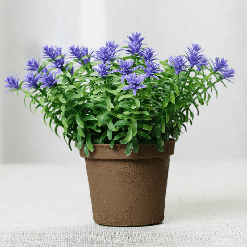 4.7" Mini Shrubs Flower Potted