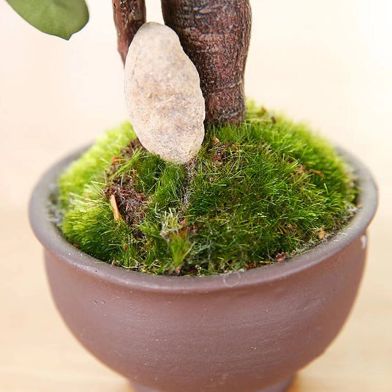 Realistic Artificial Bonsai Tree