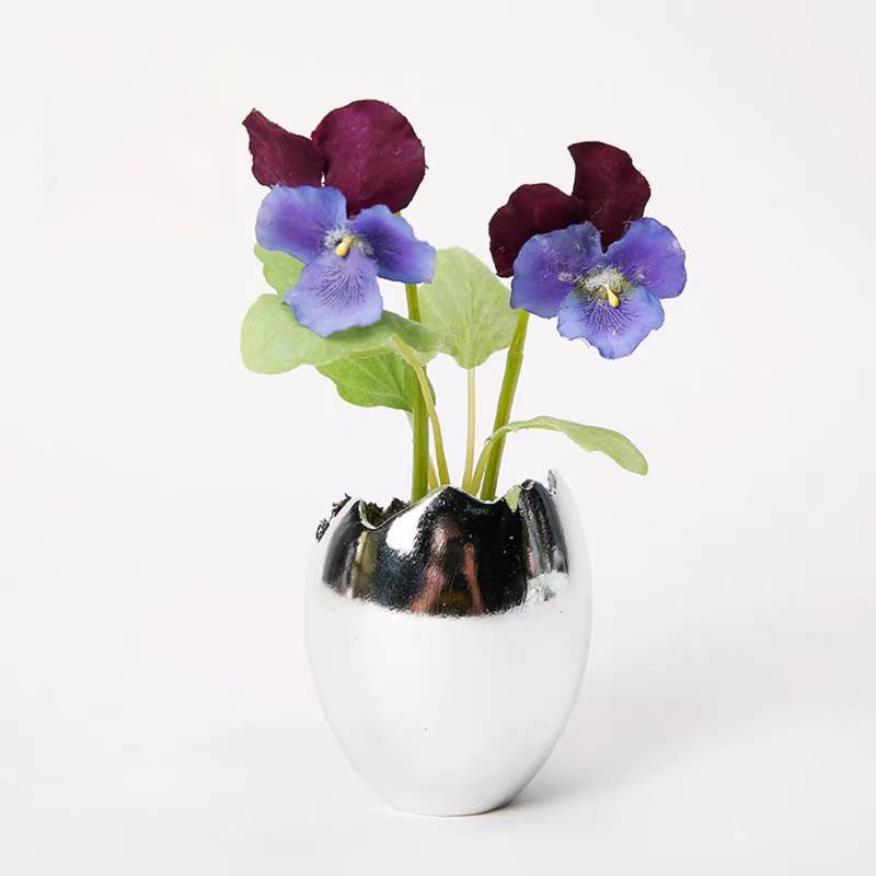 Mini Pansy Plant in Pot