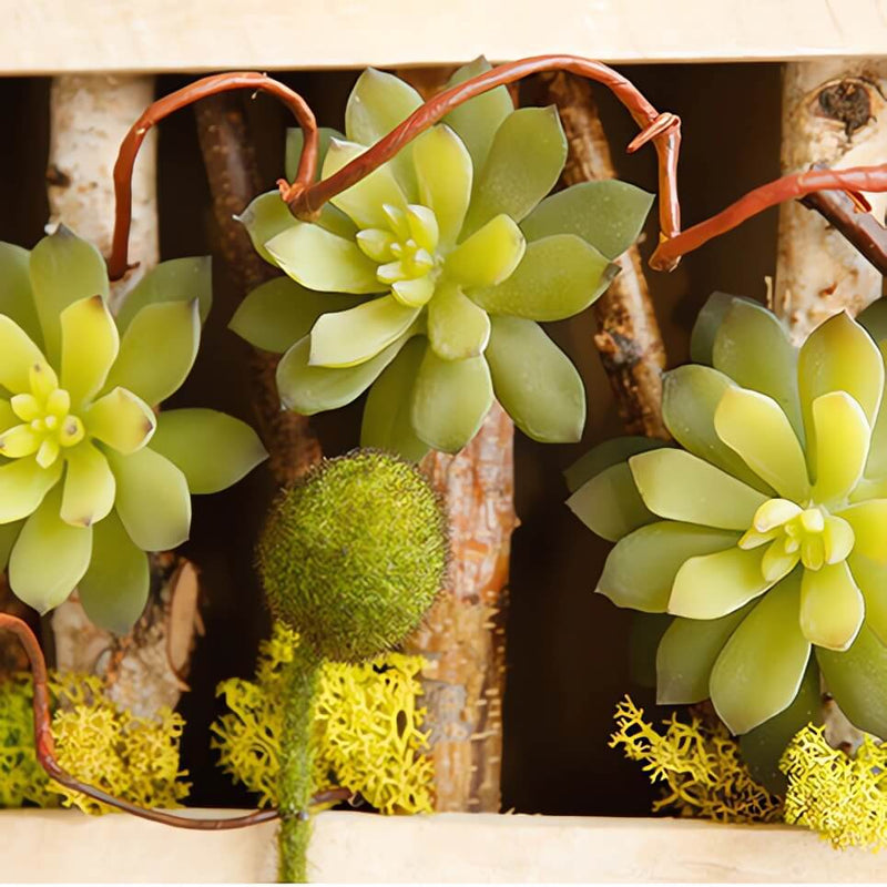 Faux Succulent in Wood Frame