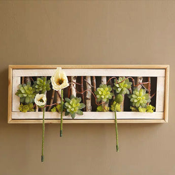 Succulent in Wood Frame