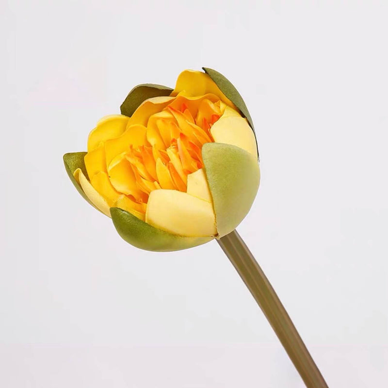 Fake Lotus Flowers / Buds