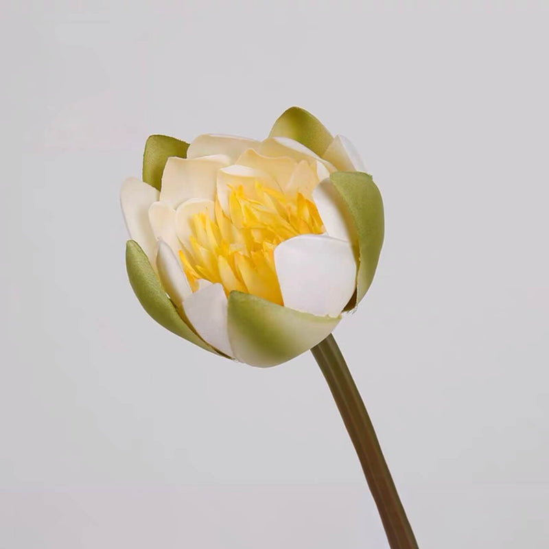 Fake Color Lotus Flower
