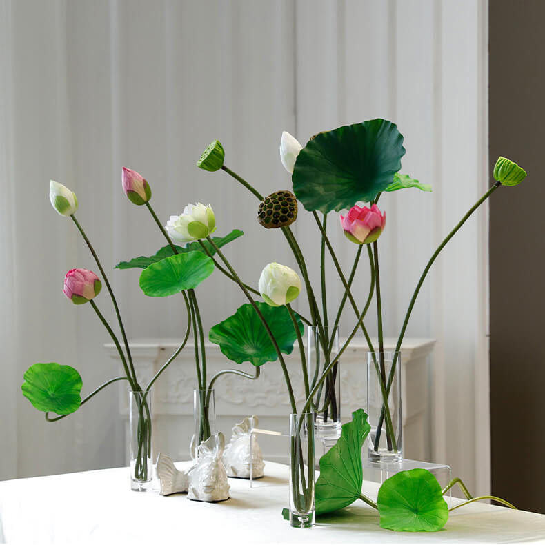 Summer Green Lotus Leaf Stem