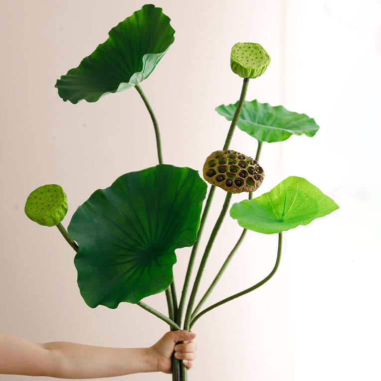 Summer Green Lotus Leaf Stem