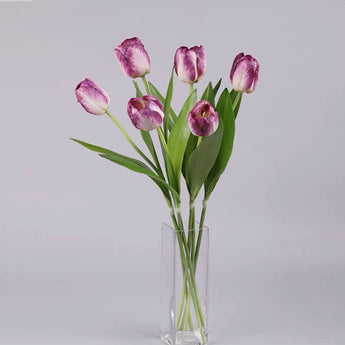 Silk Flame Tulip Set of 6