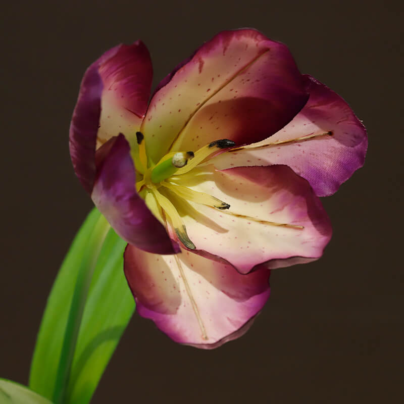 Silk Flame Flower Tulip Set of 6