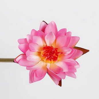 27" Blooming Pink Water Lily