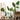 Faux Plants Philodendron Leaf