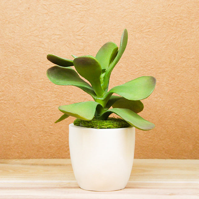 4.3" Small Colorful Pots