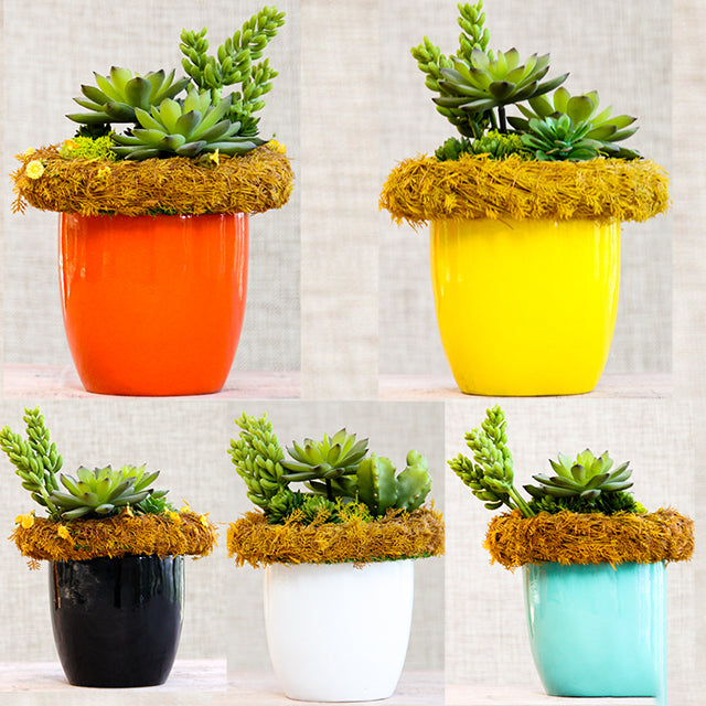 4.3" Small Colorful Pots