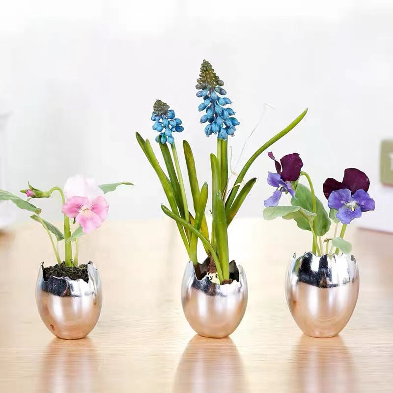 Mini Pansy Plant in Pot